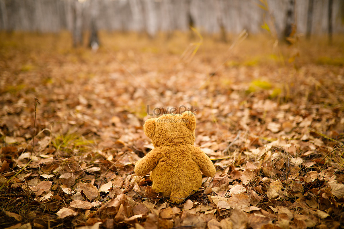 Tokyo Teddy Bear Download Wallpapers