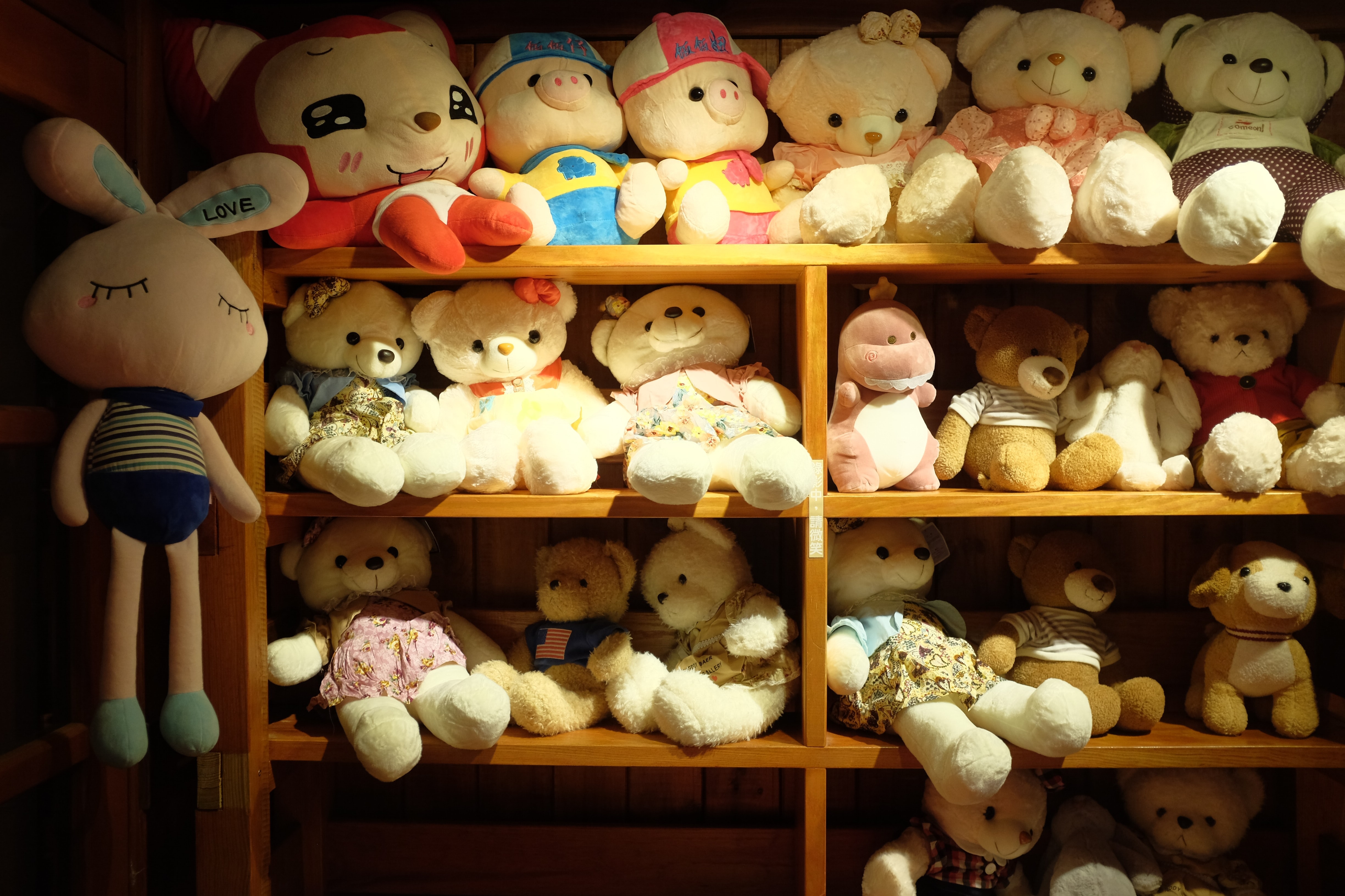 Tokyo Teddy Bear Download Wallpapers