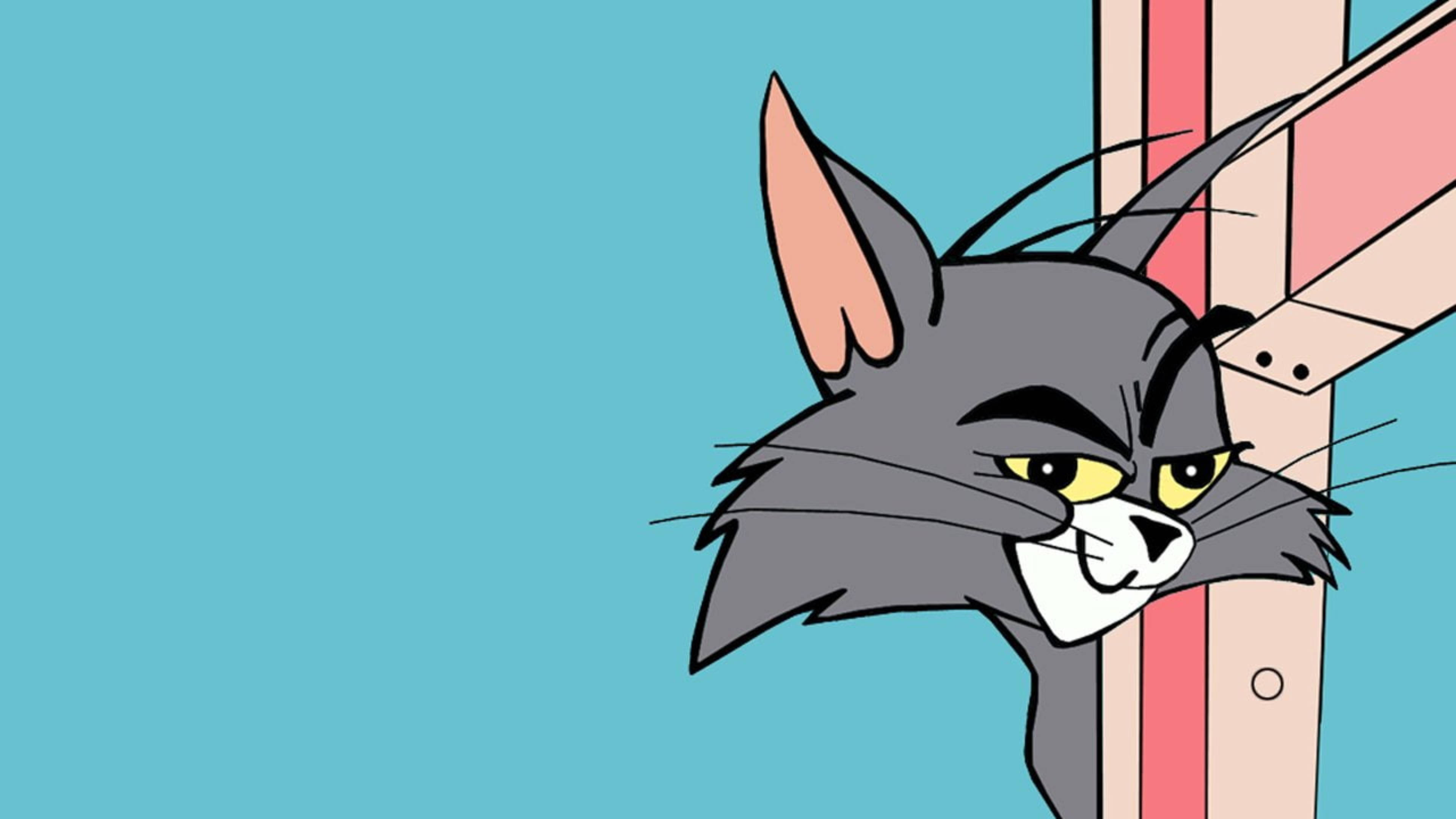 Tom And Jerry Memes Wallpapers