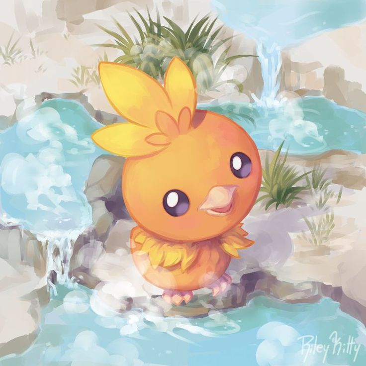 Torchic Wallpapers