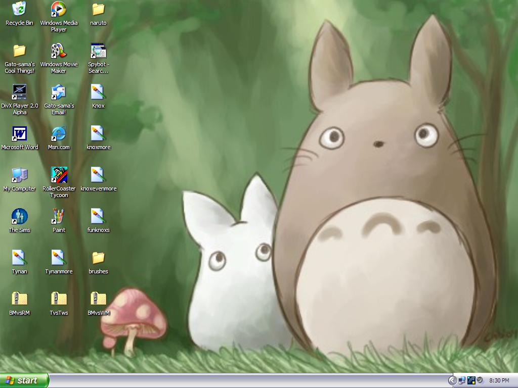 Totoro Desktop Wallpapers