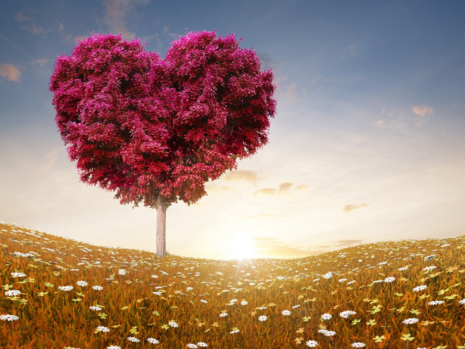 Tree For Love Wallpapers
