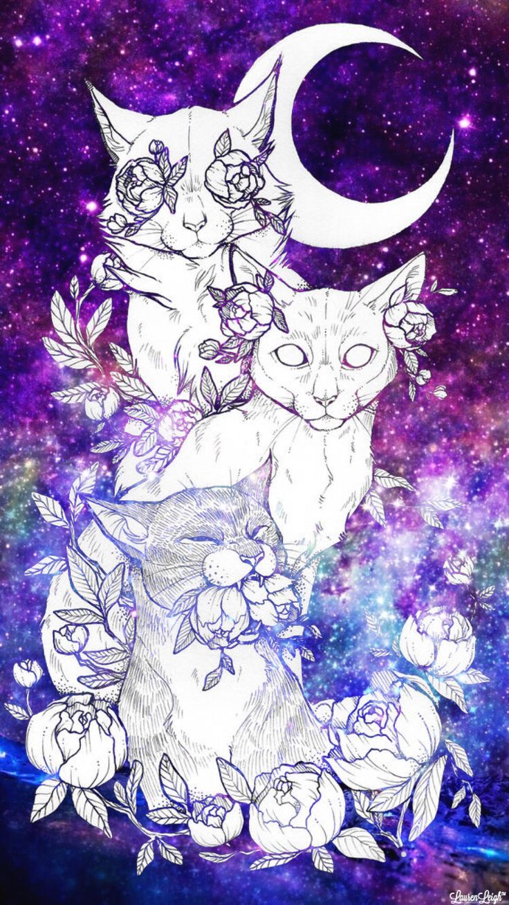 Trippy Cat Wallpapers