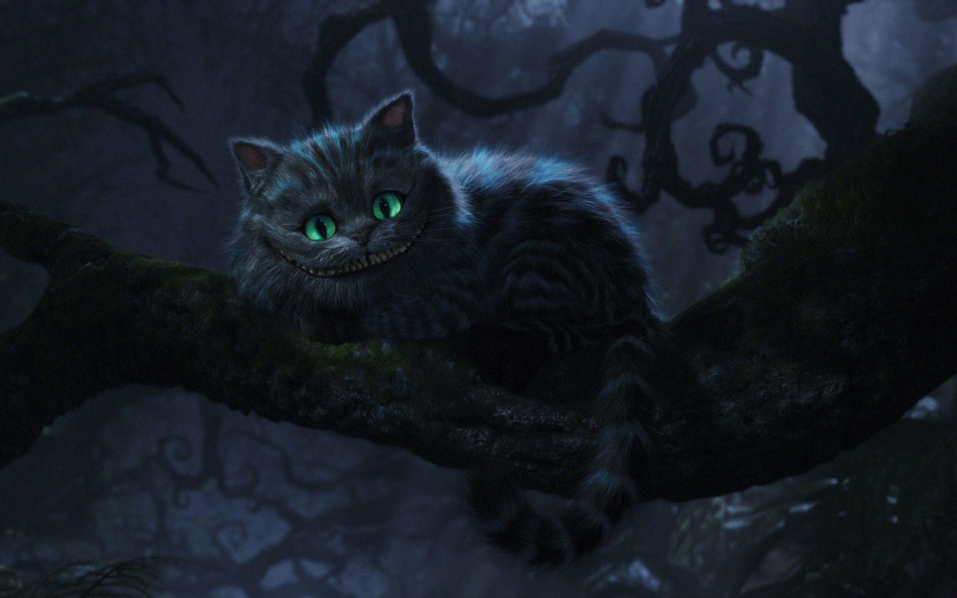 Trippy Cheshire Cat Wallpapers