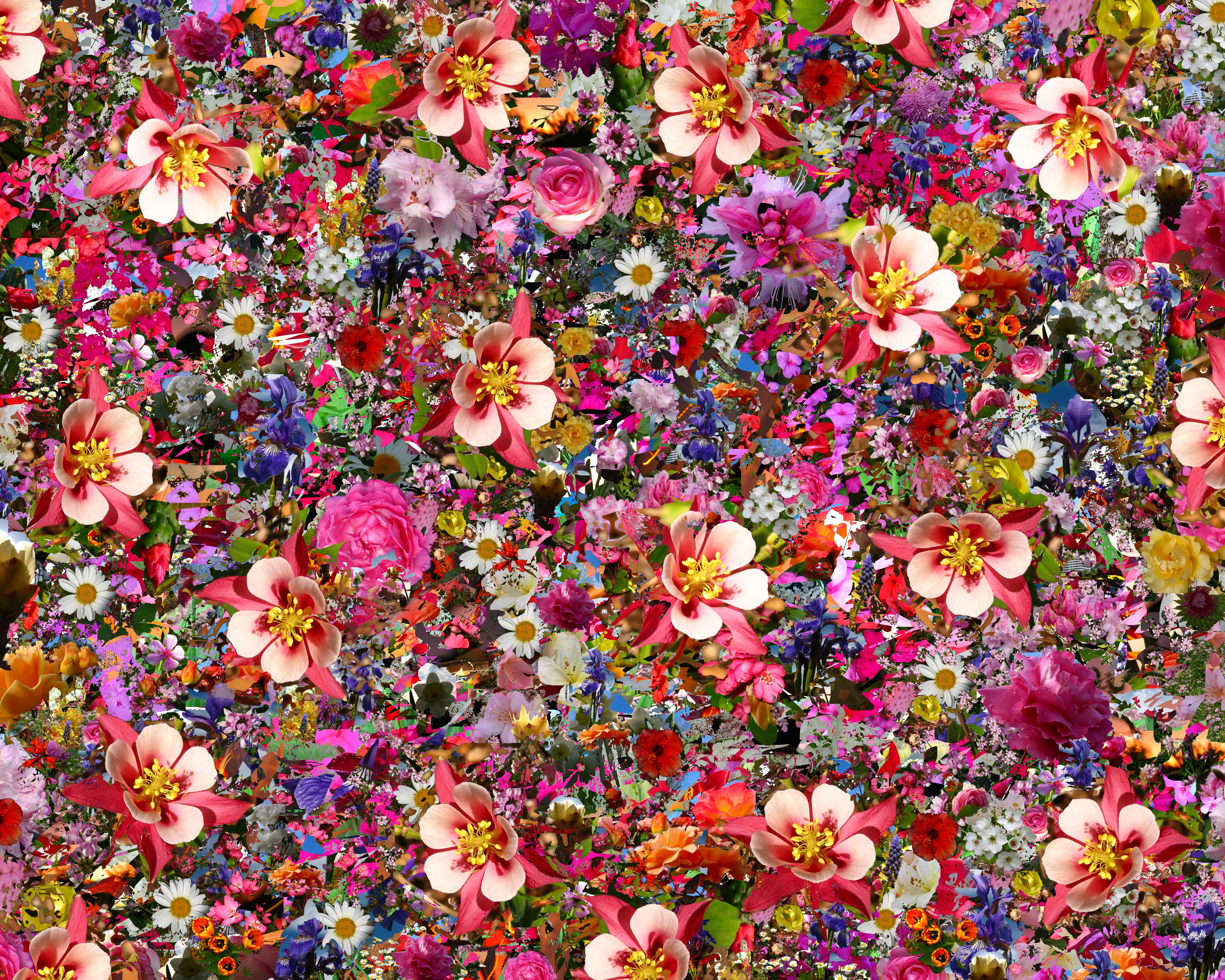 Trippy Flower Wallpapers