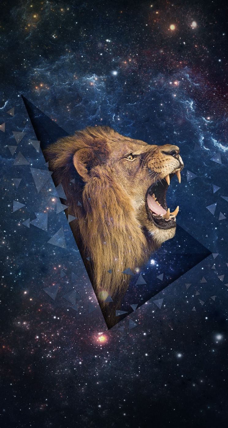 Trippy Lion Wallpapers