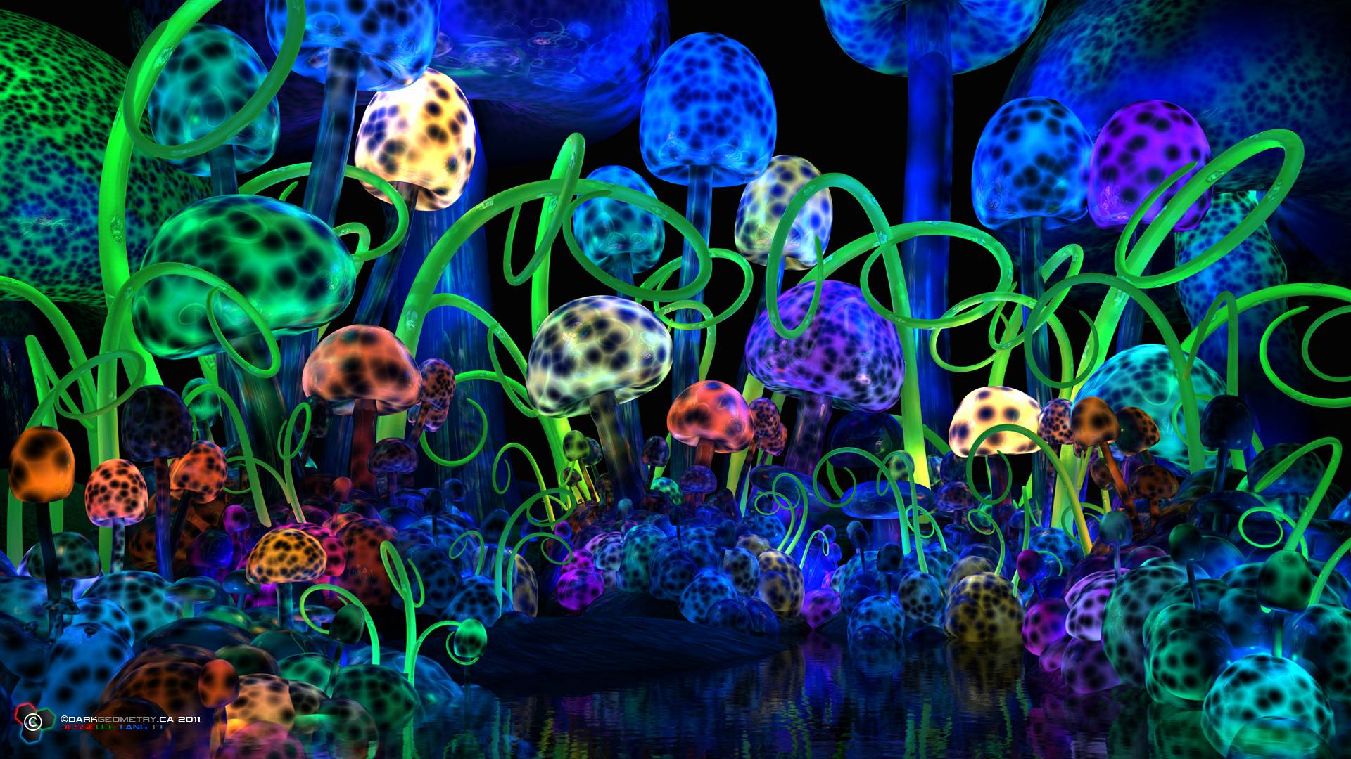 Trippy Mushroom Wallpapers