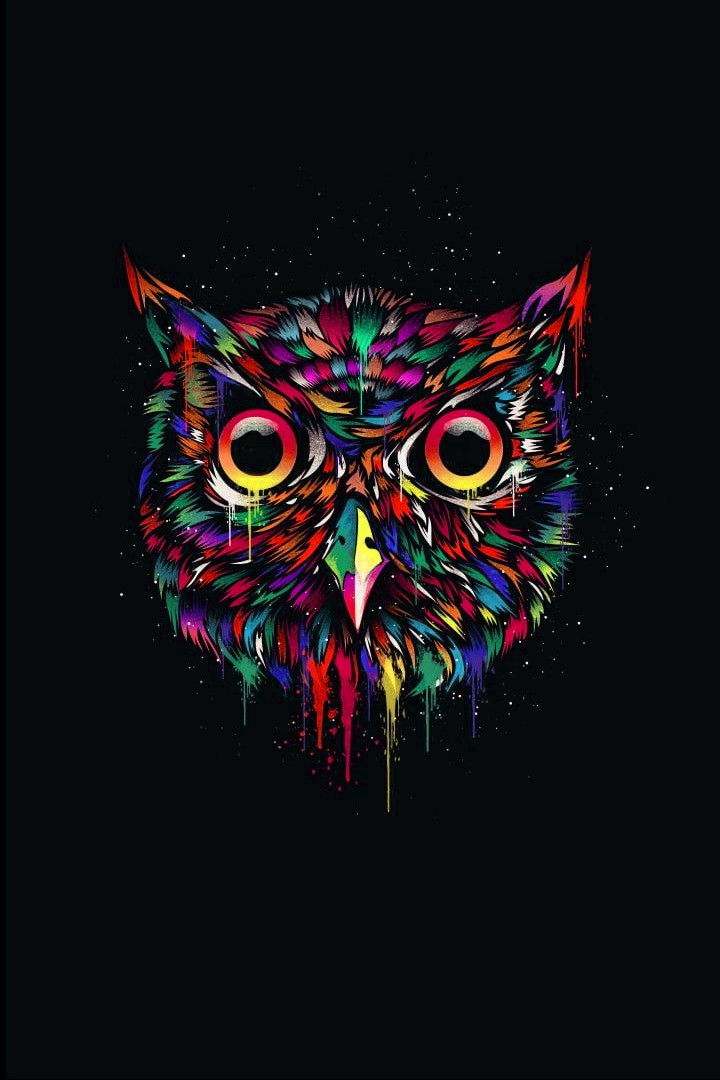 Trippy Owl Wallpapers