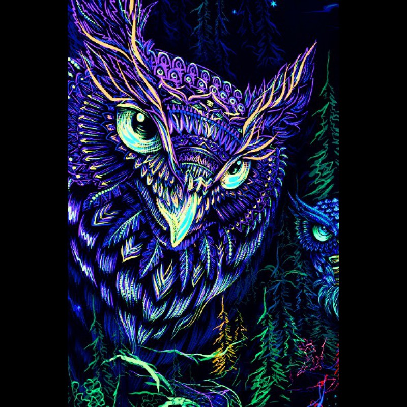 Trippy Owl Wallpapers