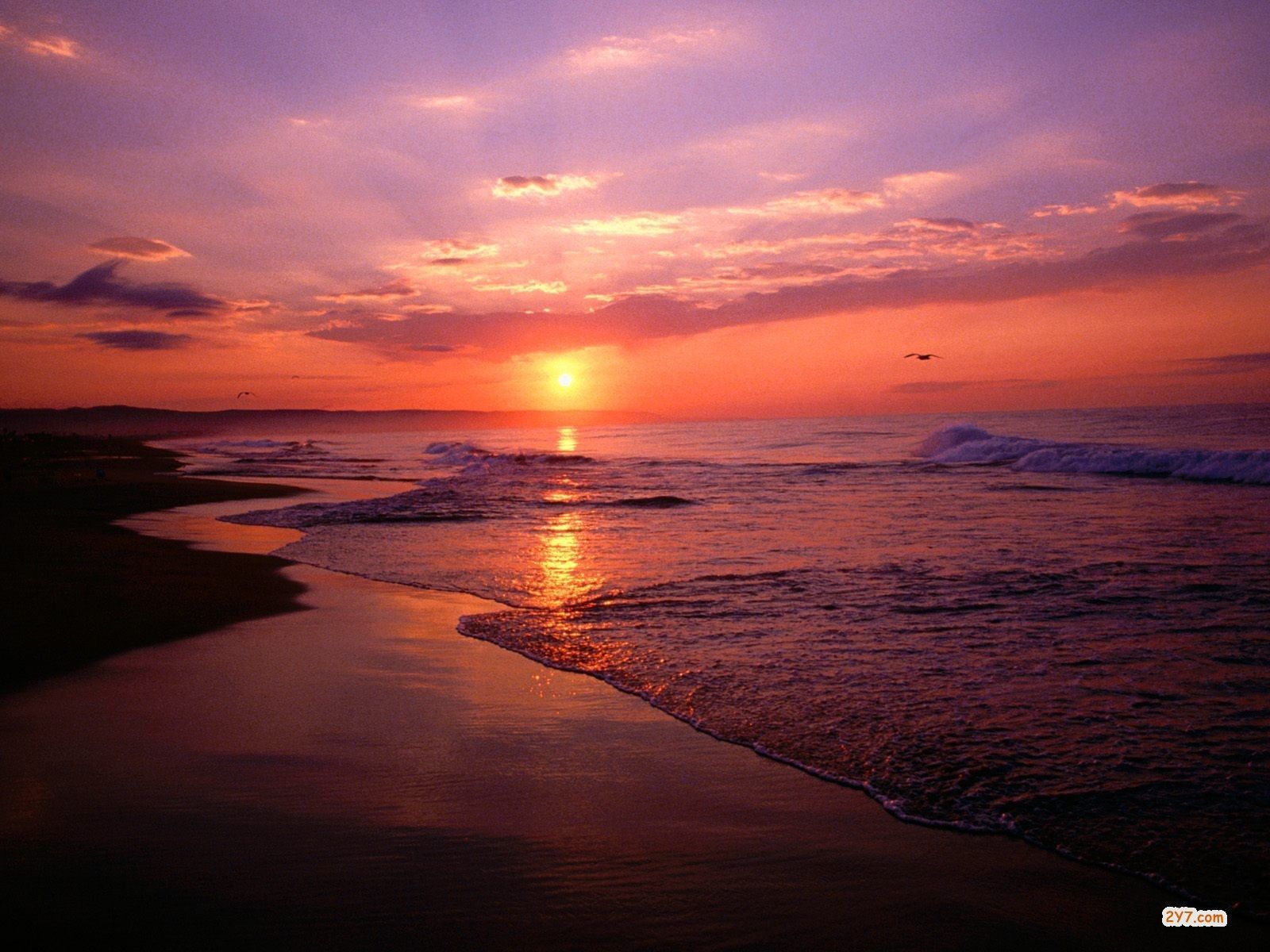 Tropical Beach Sunrise Wallpapers