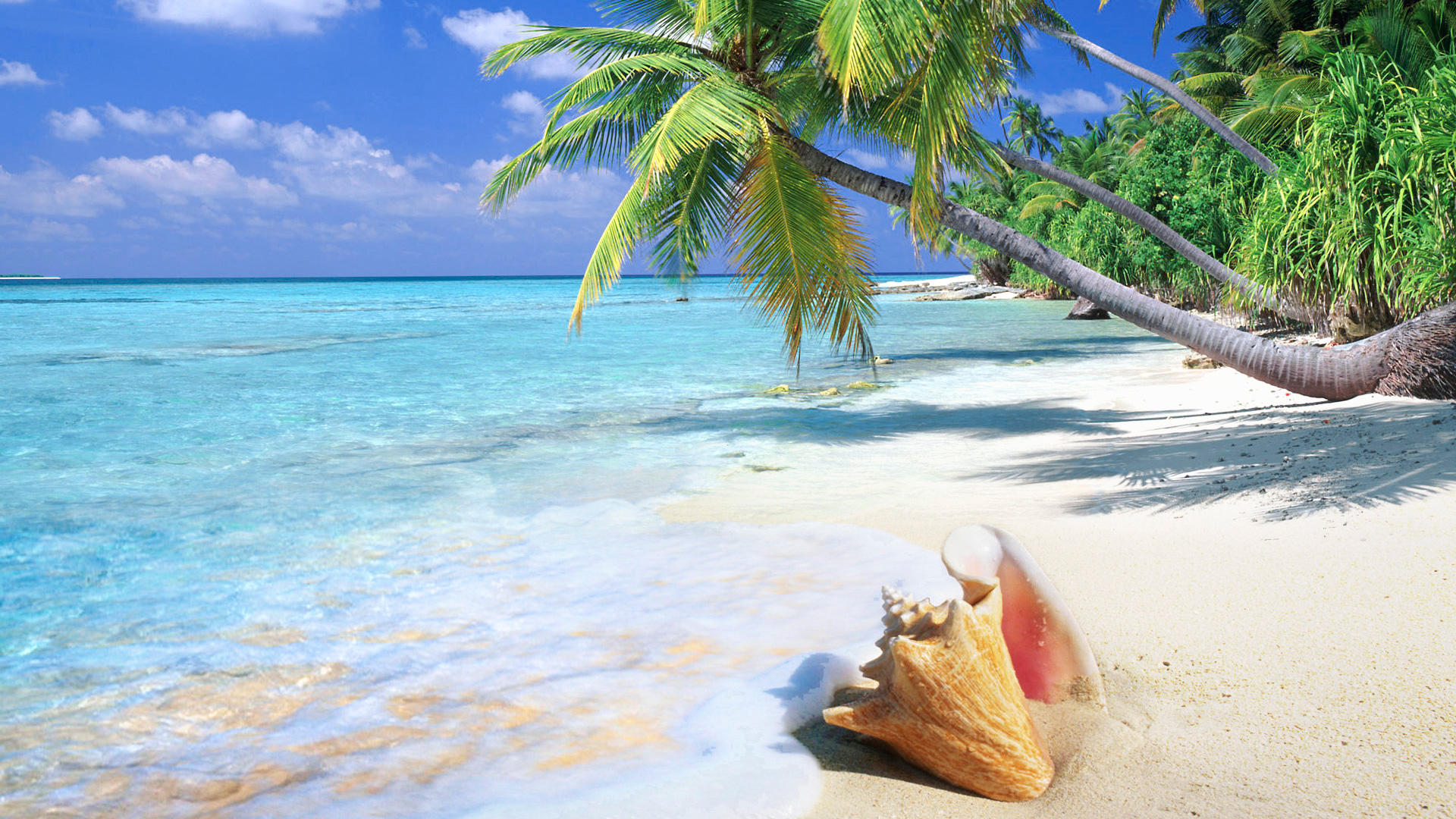 Tropical Beaches Desktop Wallpapers