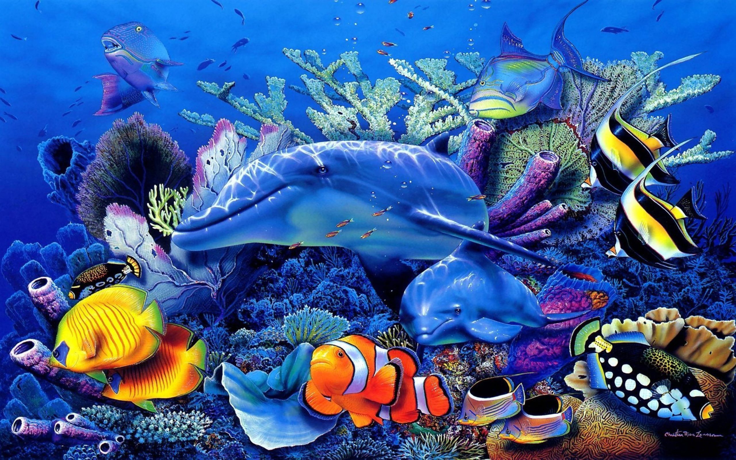 Tropical Fish Wallpapers