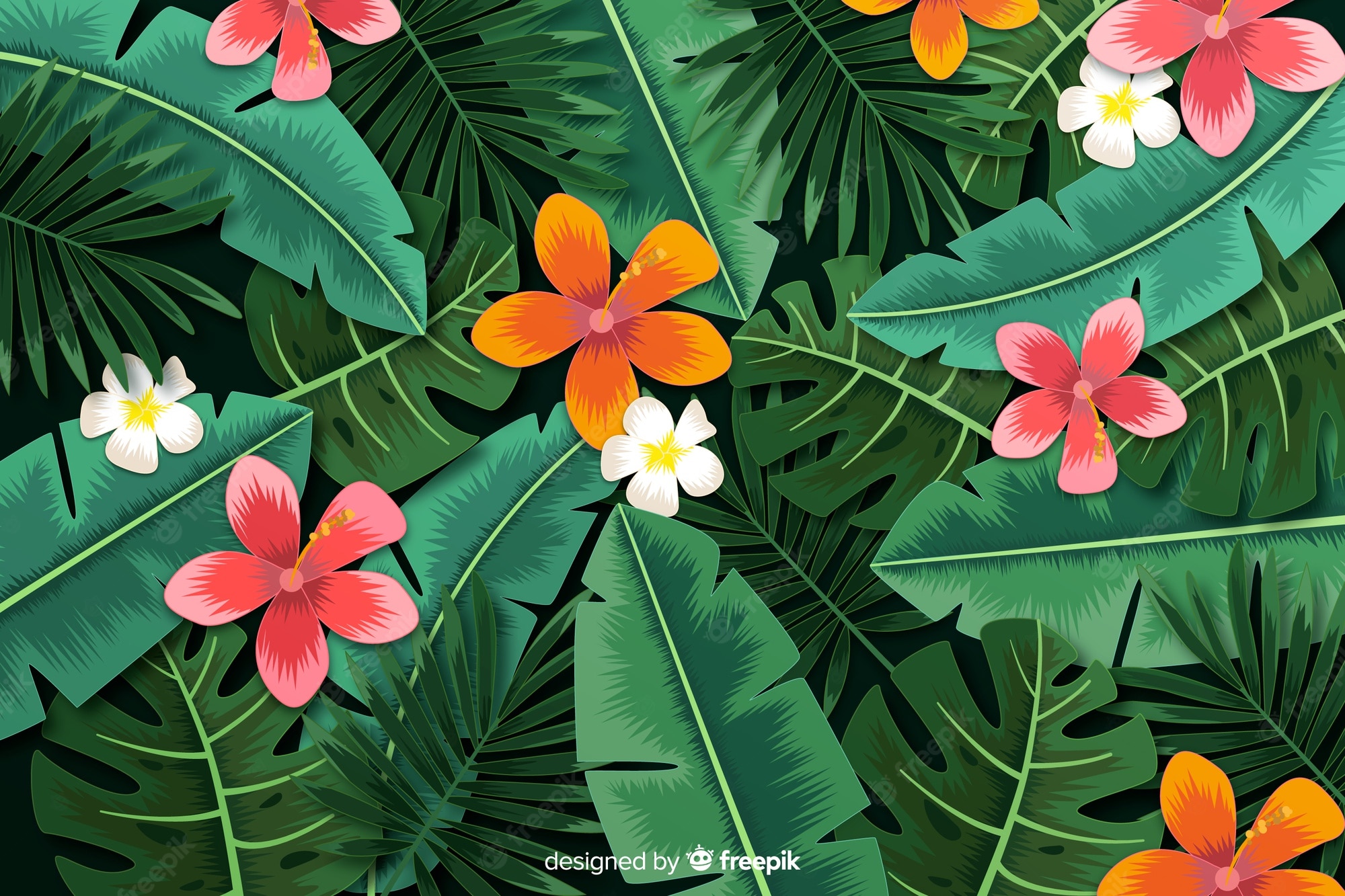 Tropical Flower Wallpapers