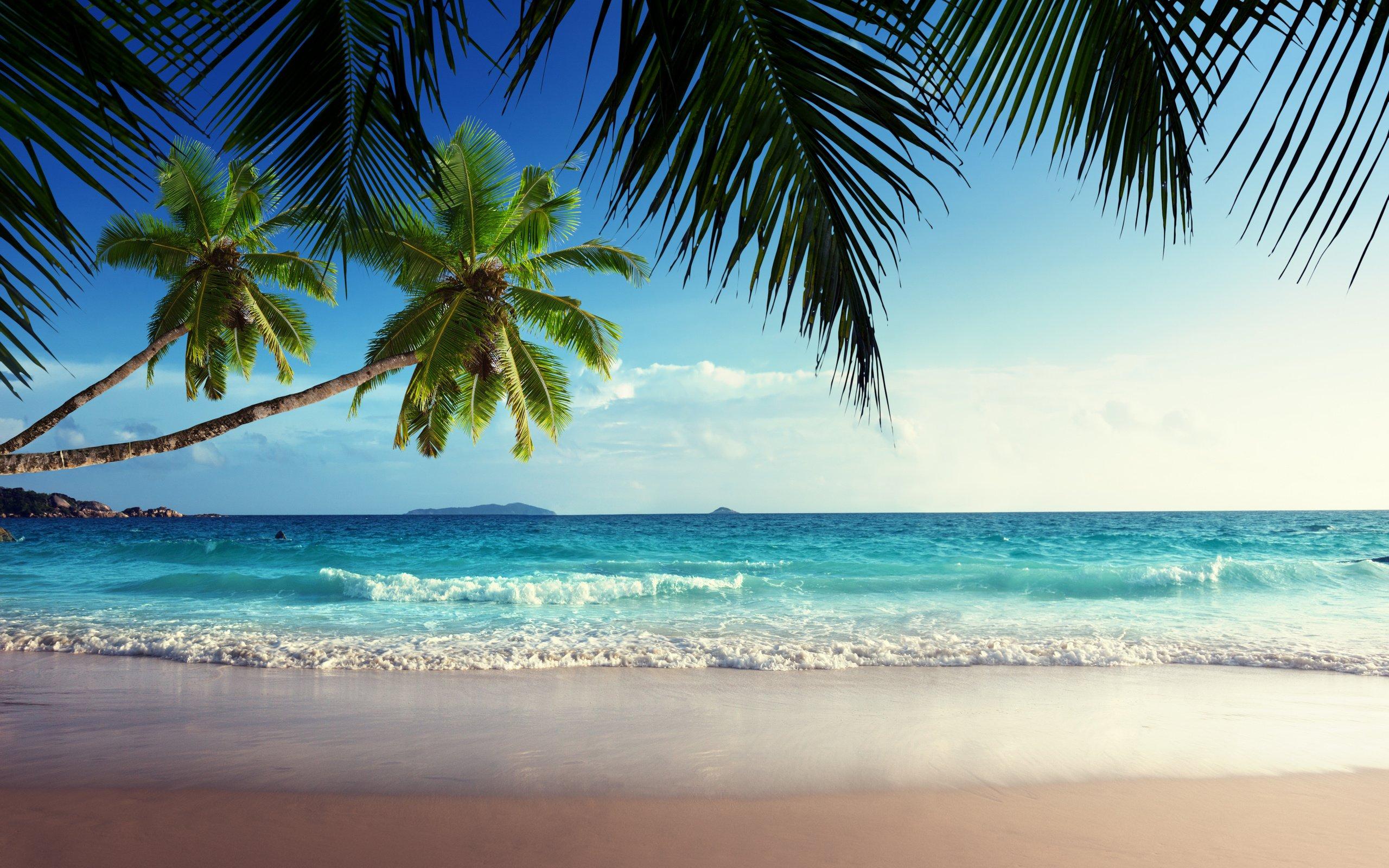 Tropical Paradise Wallpapers