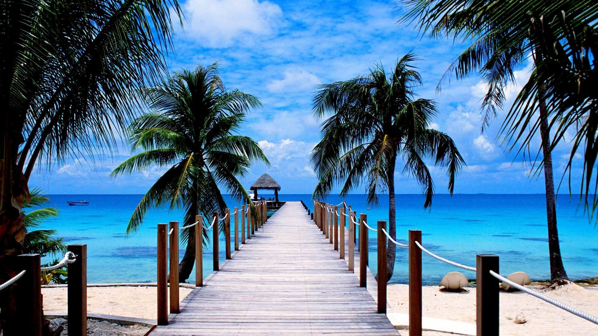 Tropical Paradise Wallpapers