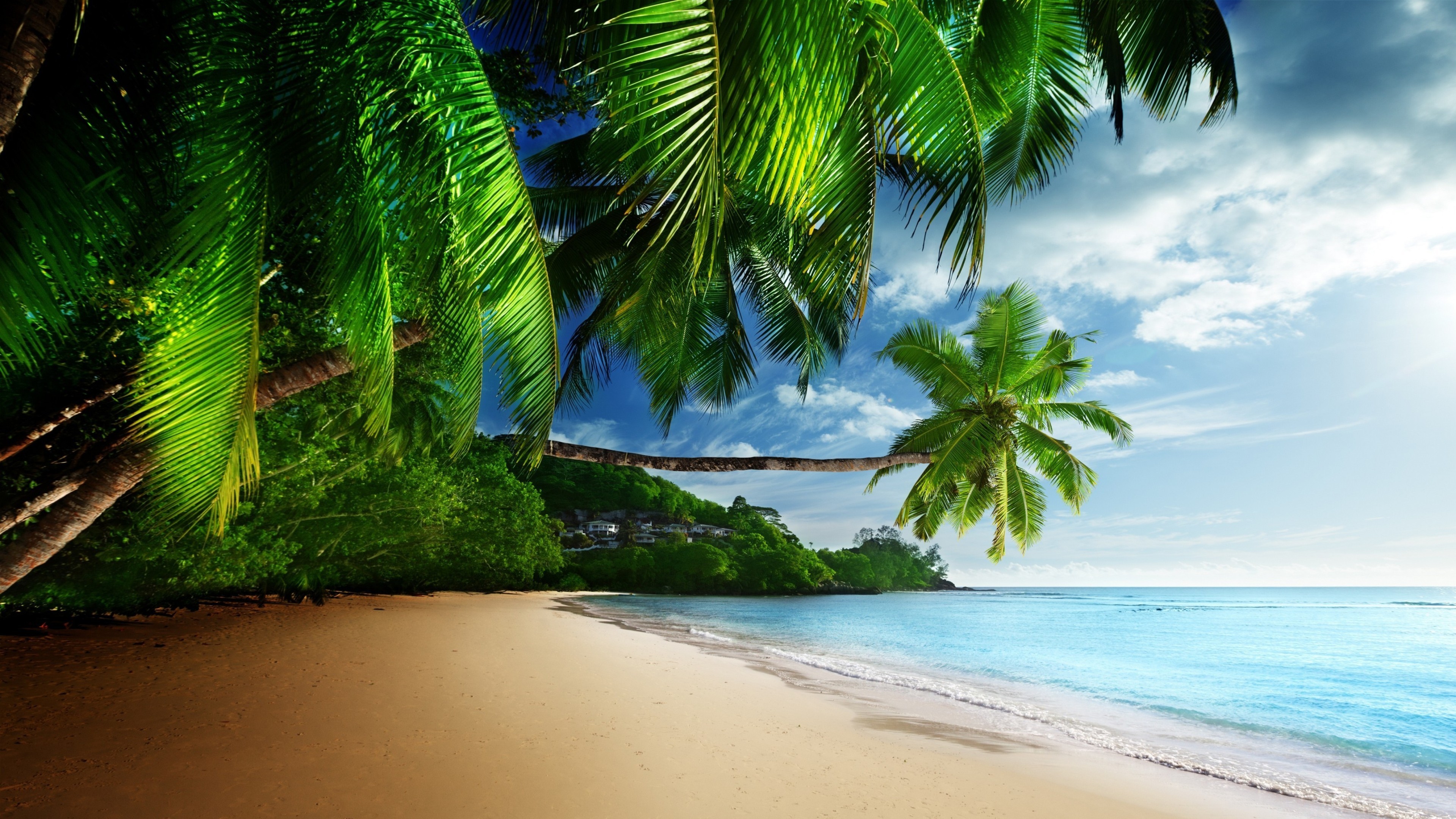 Tropical Hd Wallpapers