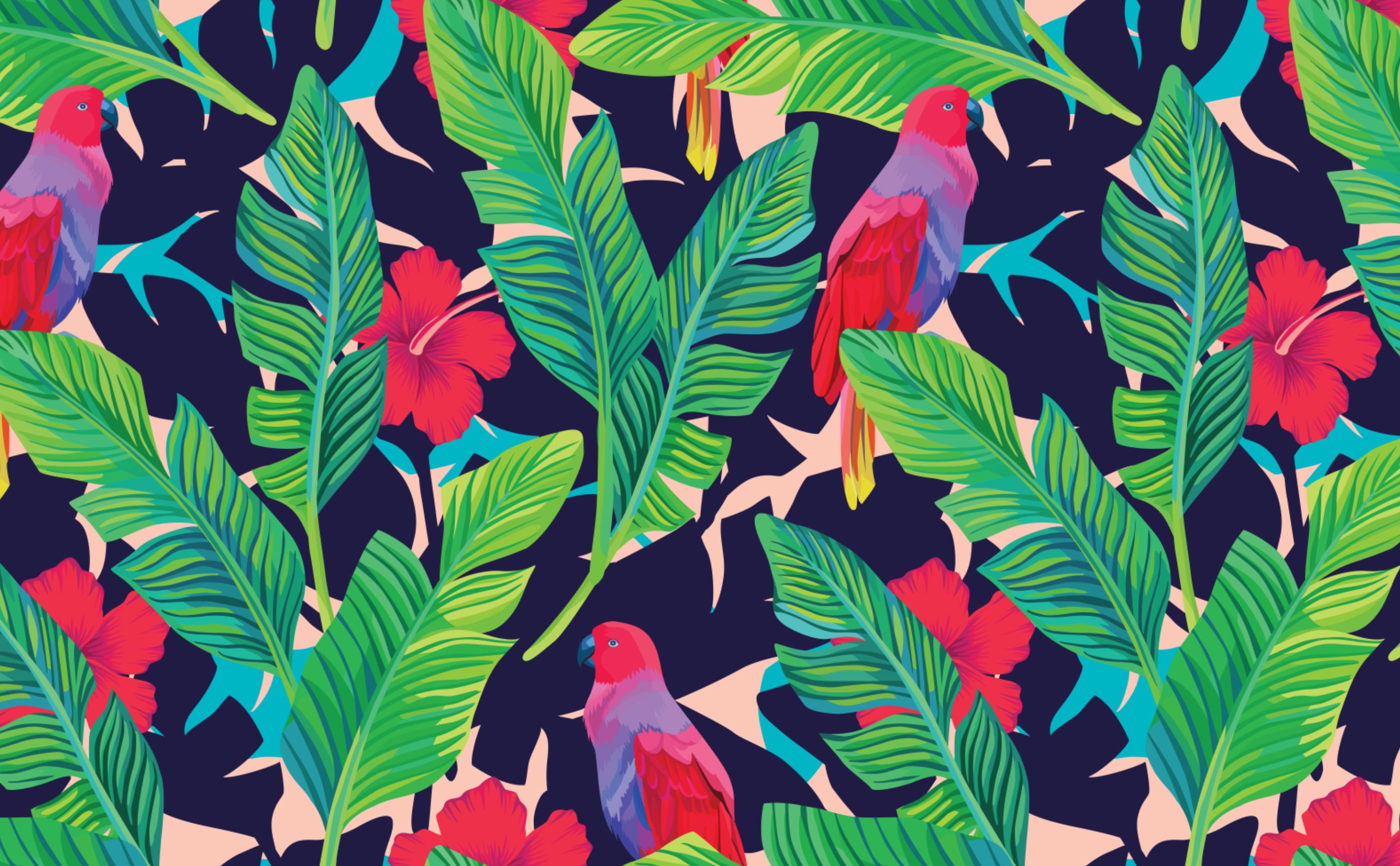 Tropical Patterns Wallpapers