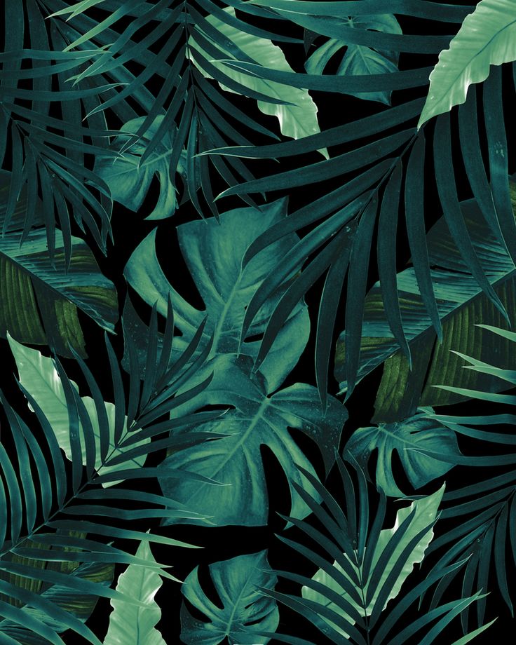 Tropical Patterns Wallpapers