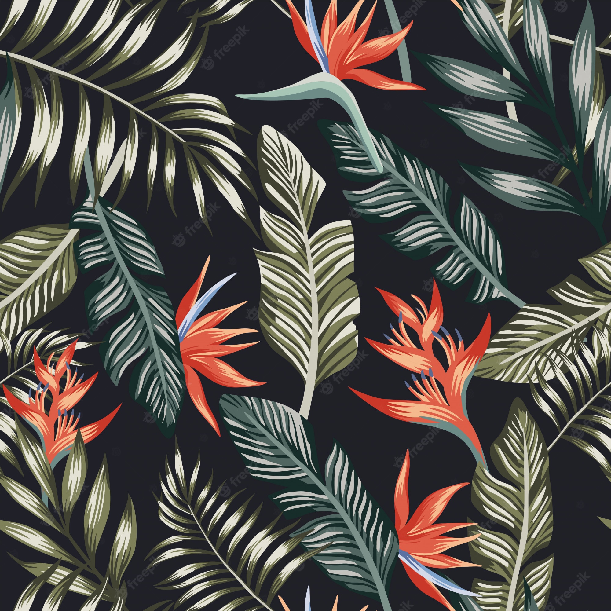 Tropical Patterns Wallpapers