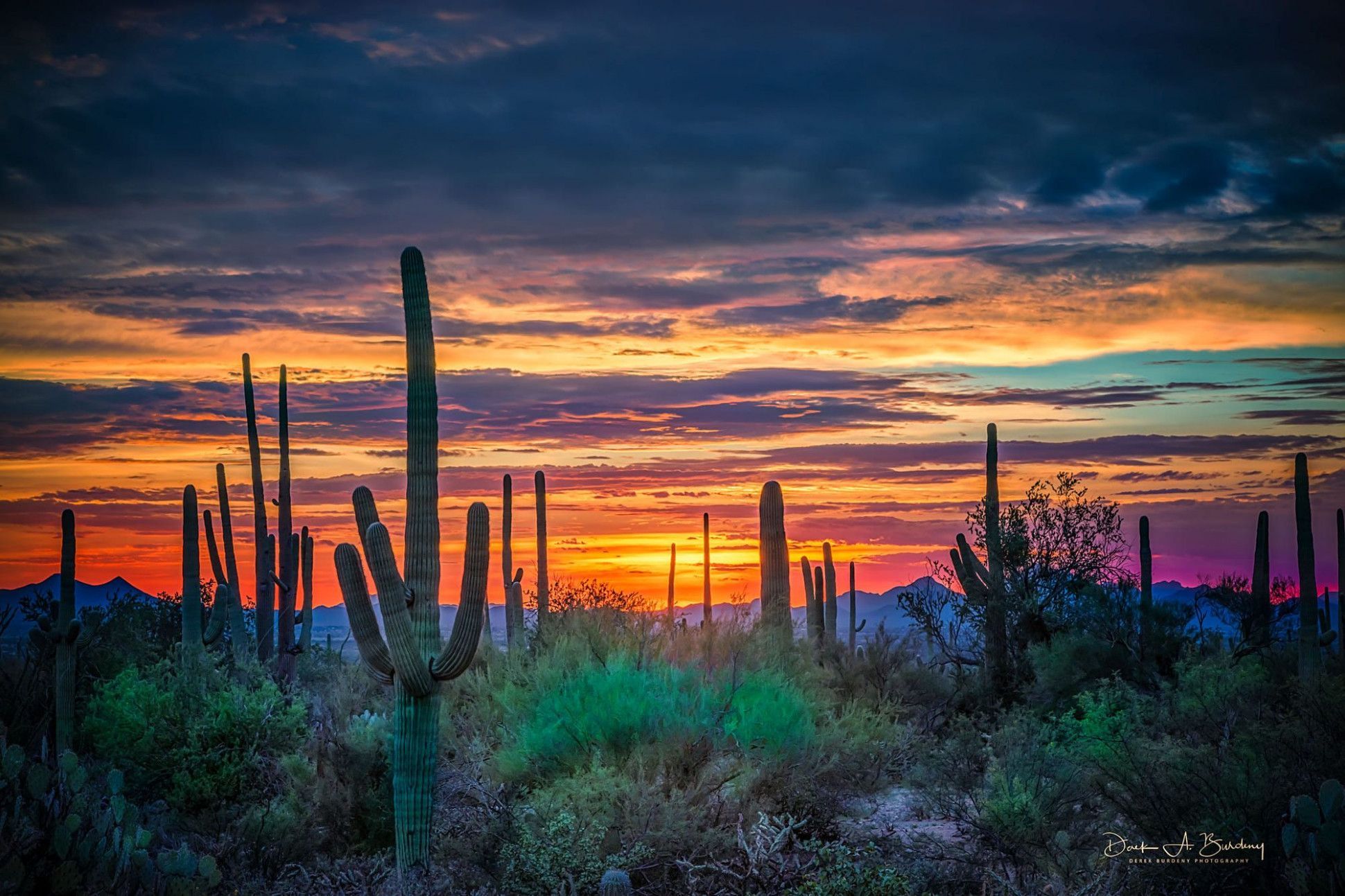 Tucson Sunset Wallpapers