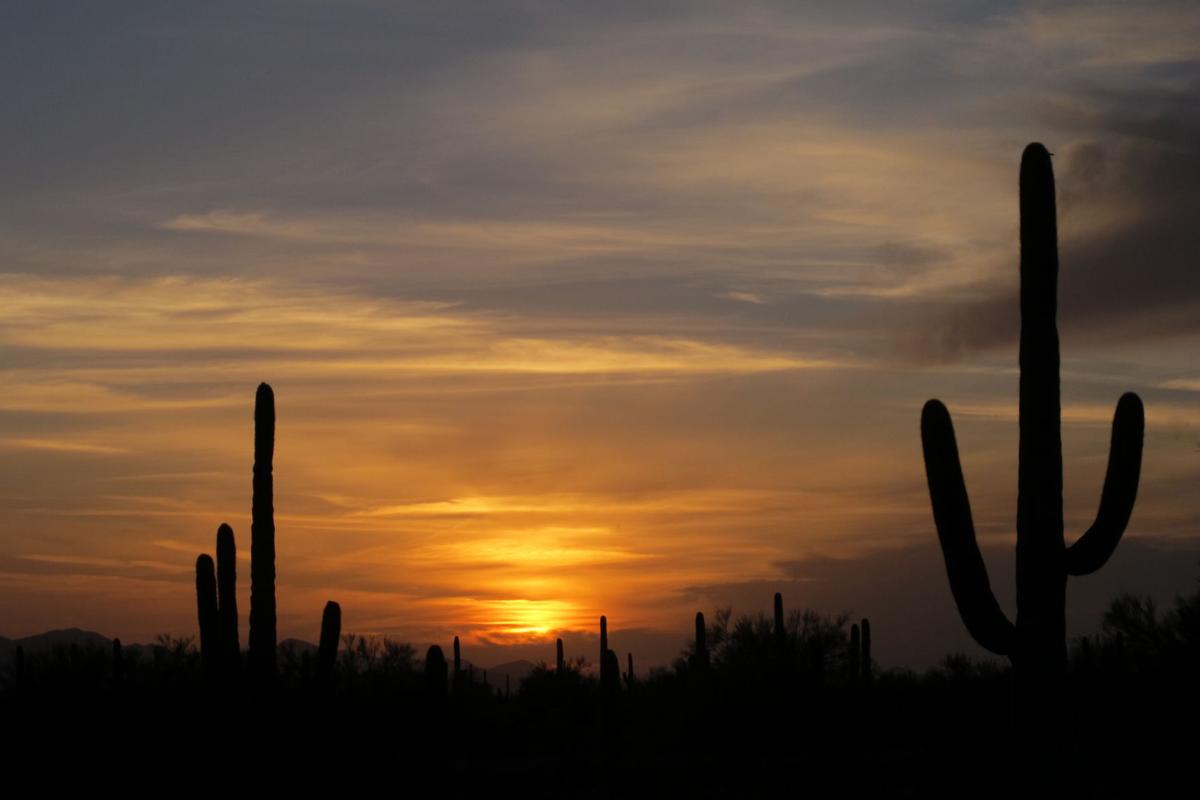Tucson Sunset Wallpapers