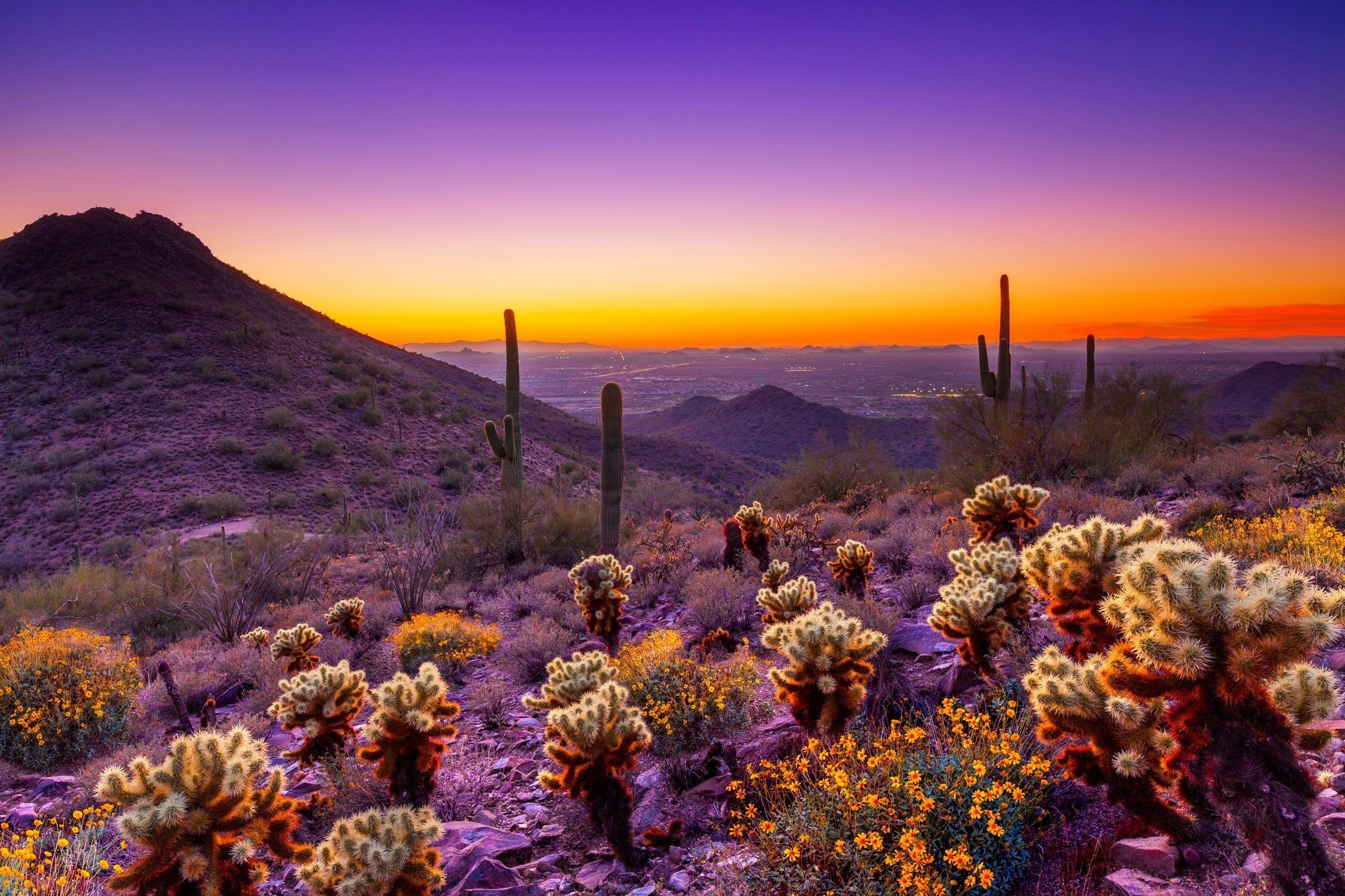 Tucson Sunset Wallpapers