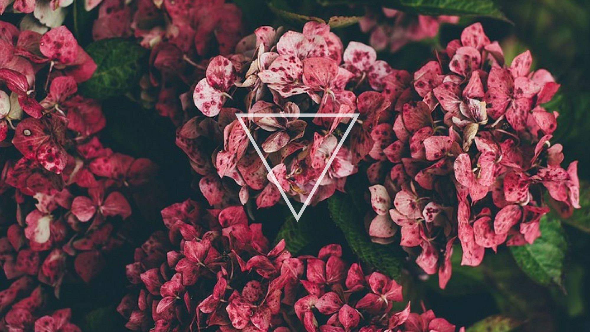 Tumblr Flower Wallpapers