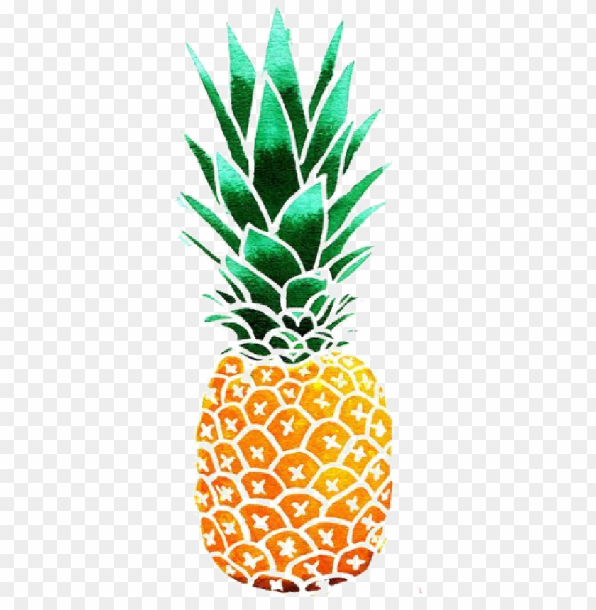 Tumblr Pineapple Wallpapers