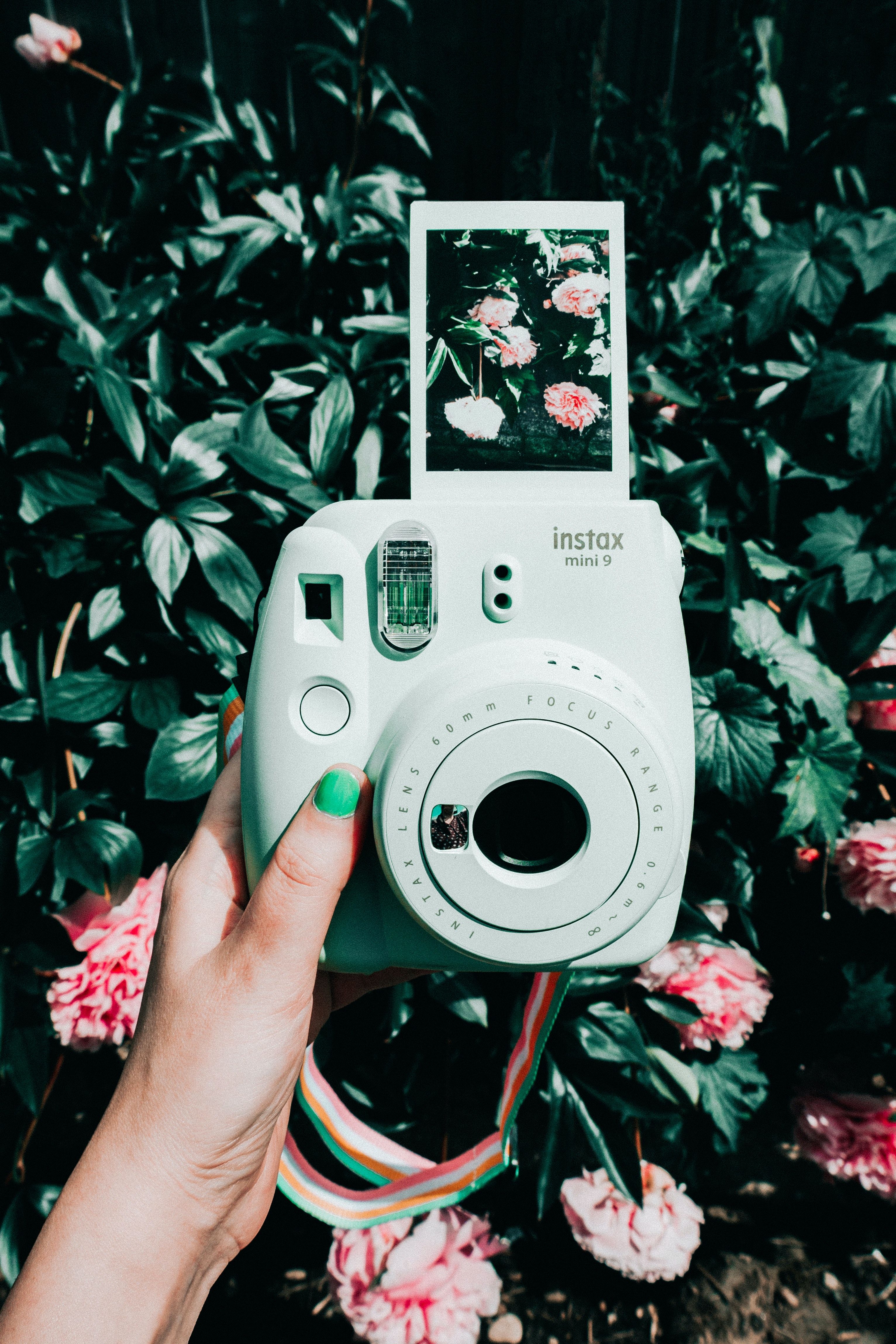 Tumblr Polaroid Cameras Wallpapers