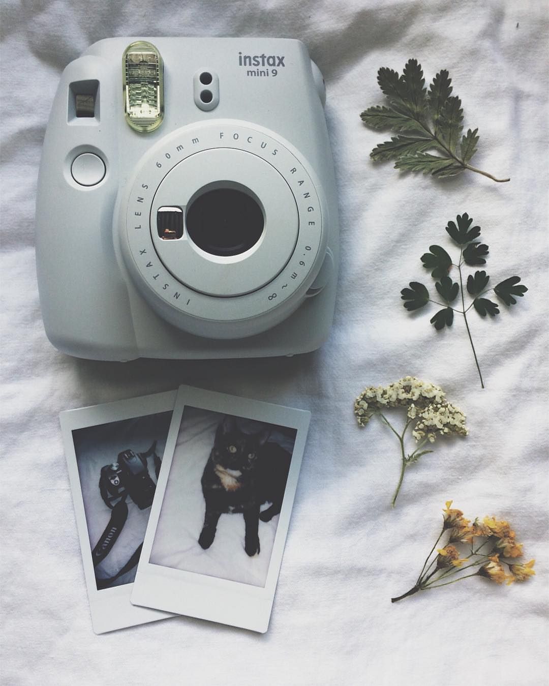 Tumblr Polaroid Cameras Wallpapers