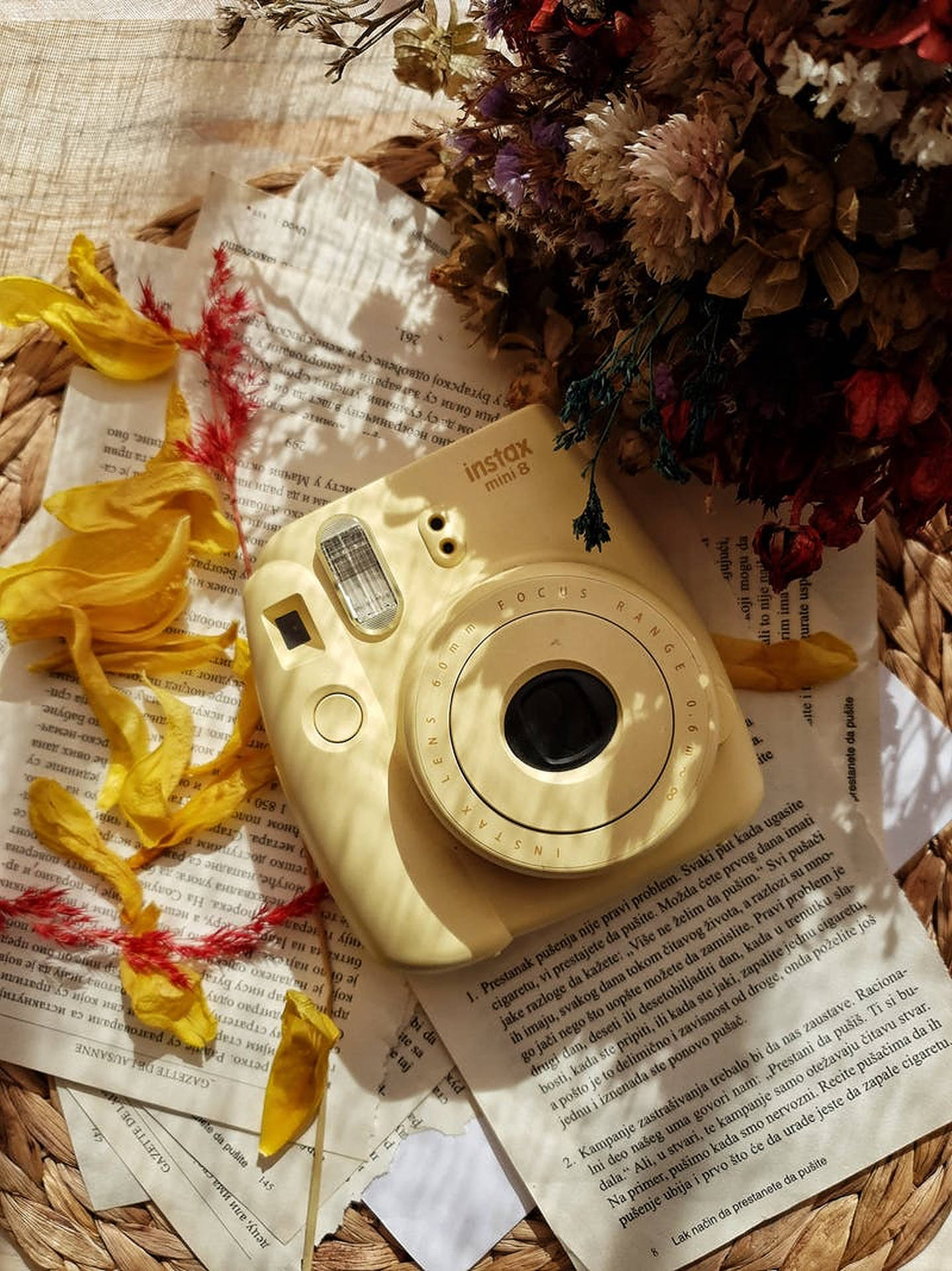 Tumblr Polaroid Cameras Wallpapers