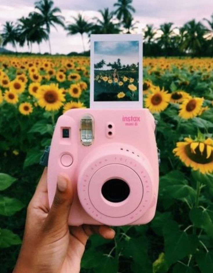 Tumblr Polaroid Cameras Wallpapers