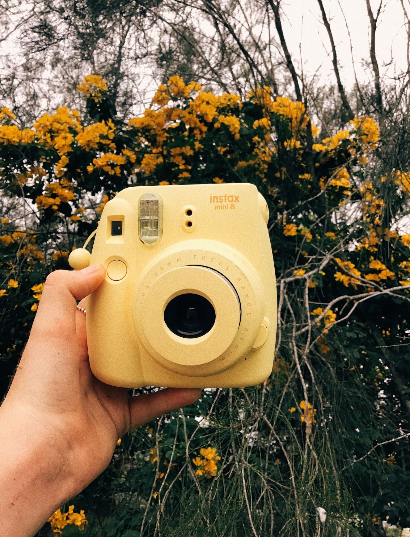 Tumblr Polaroid Cameras Wallpapers