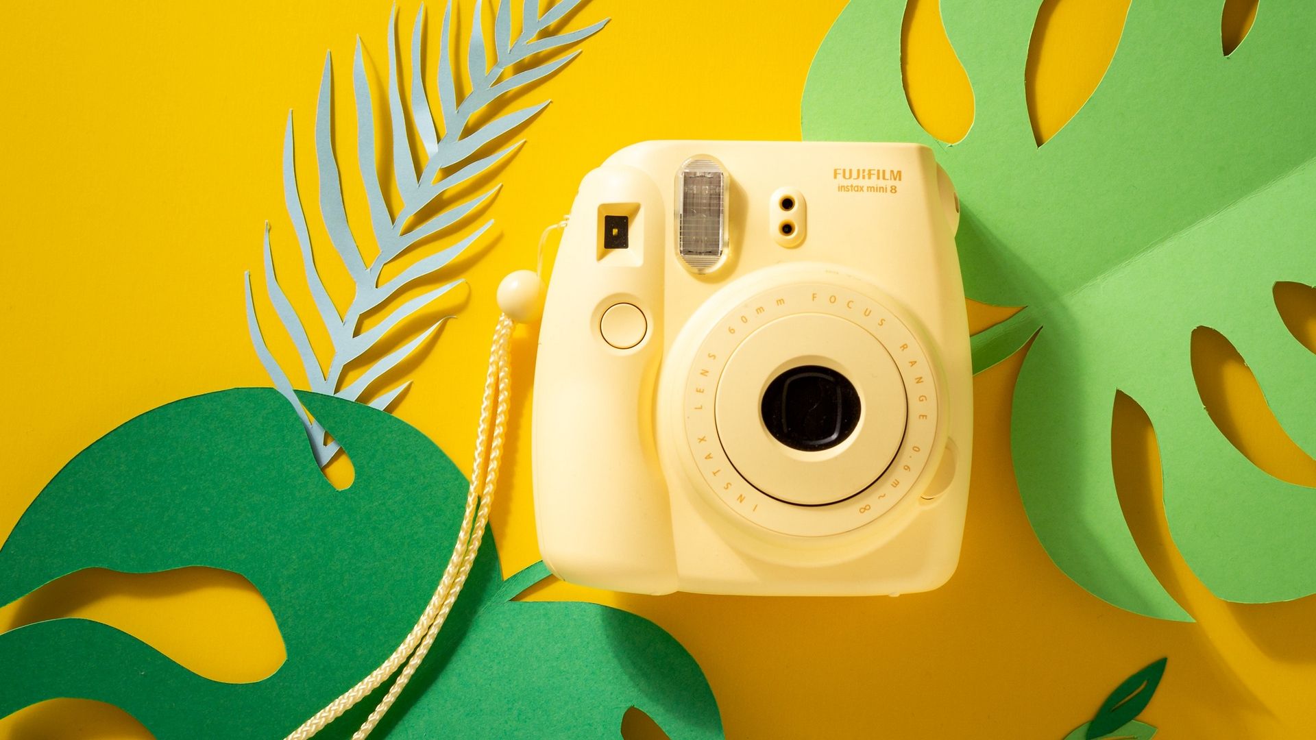 Tumblr Polaroid Cameras Wallpapers