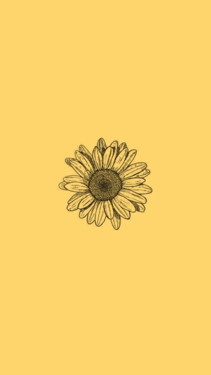 Tumblr Sunflower Wallpapers