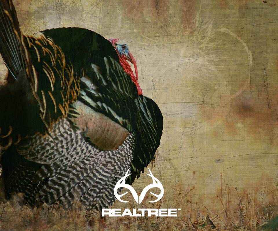 Turkey Hunting Wallpapers