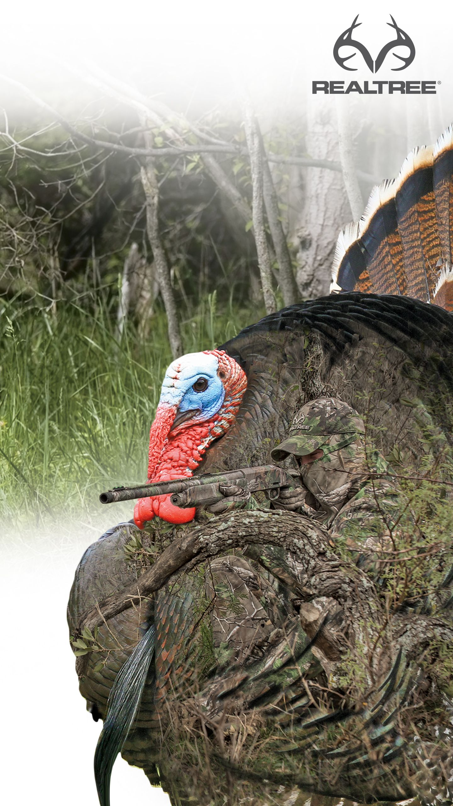 Turkey Hunting Wallpapers