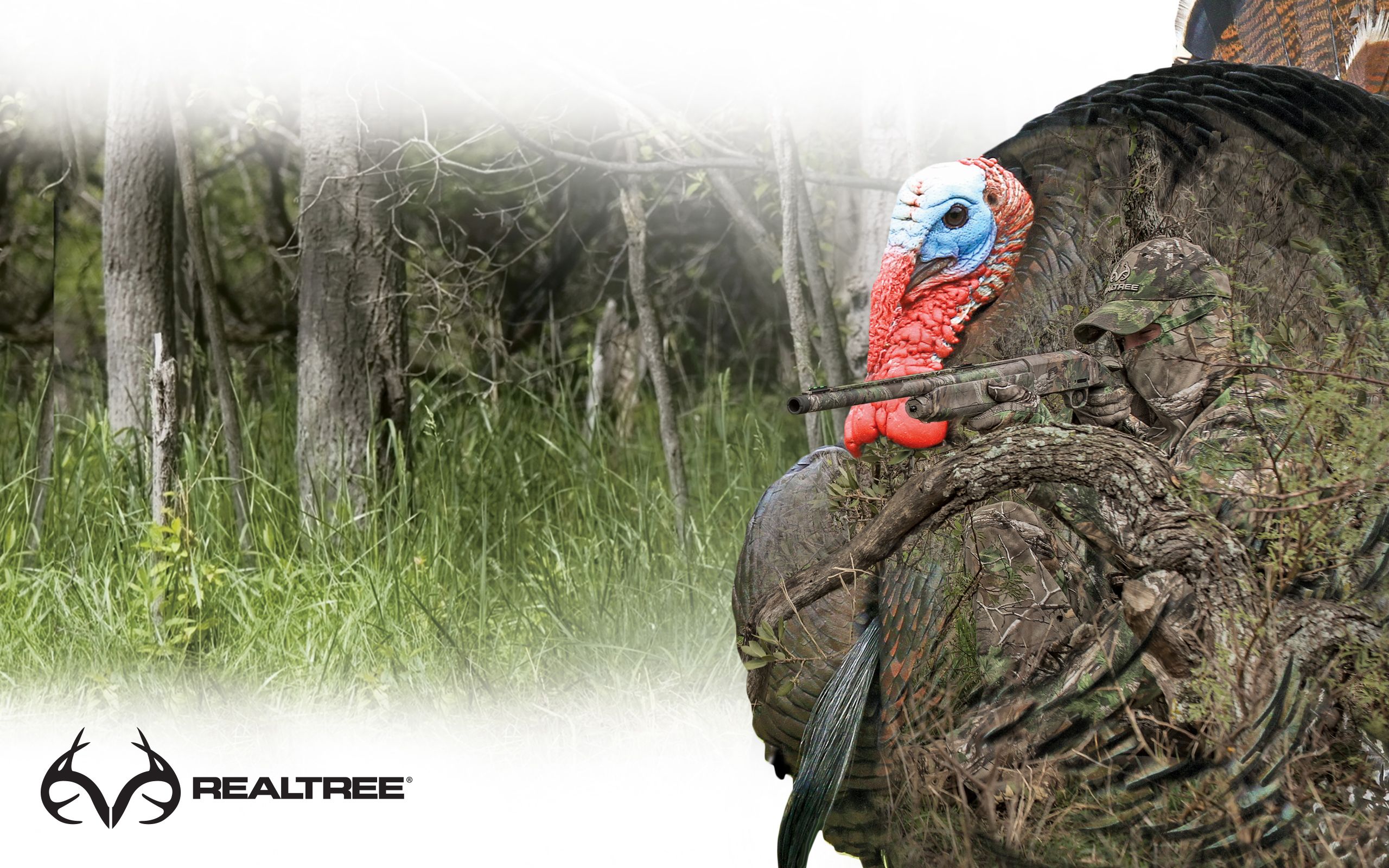 Turkey Hunting Wallpapers