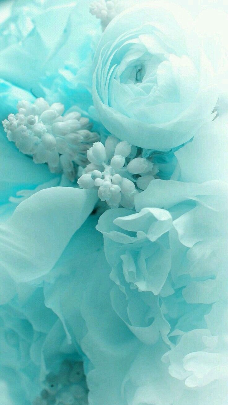 Turquoise Flowers Wallpapers