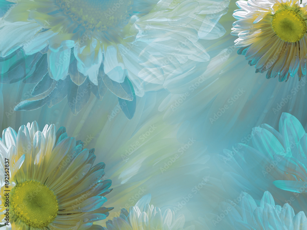 Turquoise Flowers Wallpapers