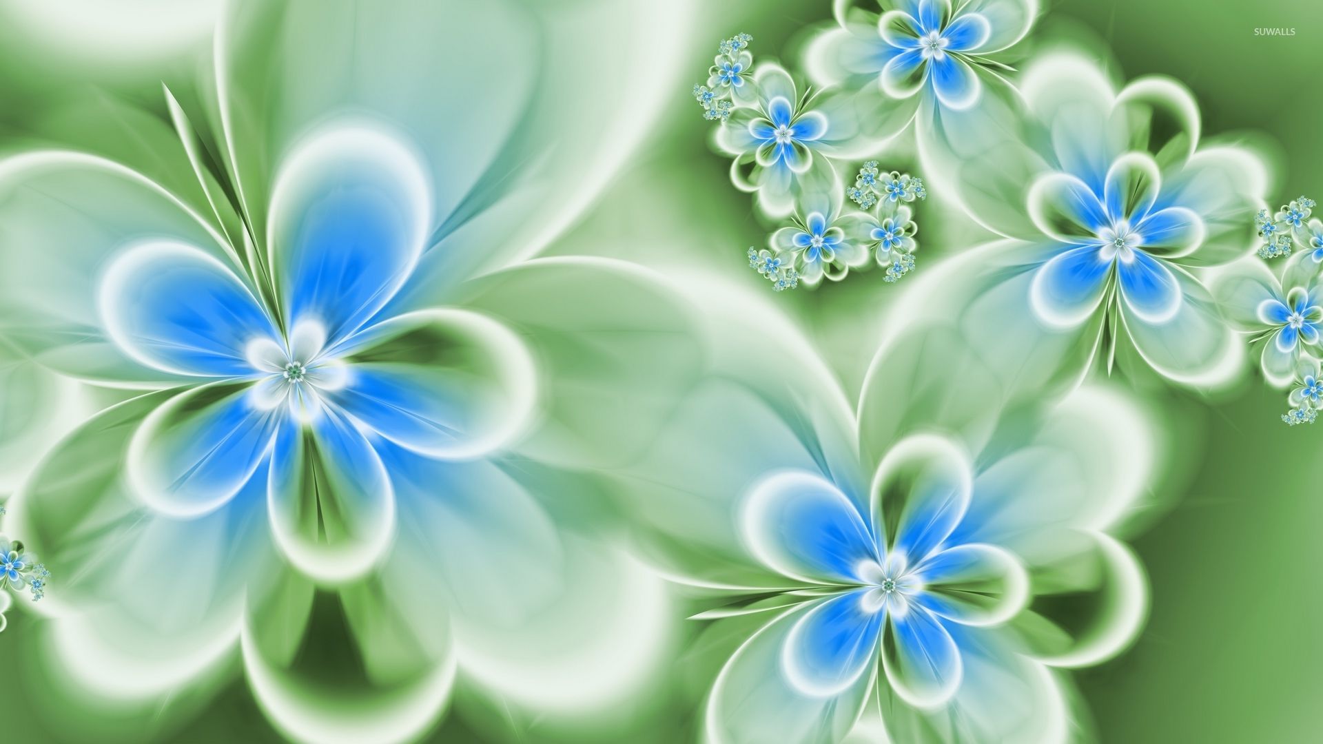 Turquoise Flowers Wallpapers