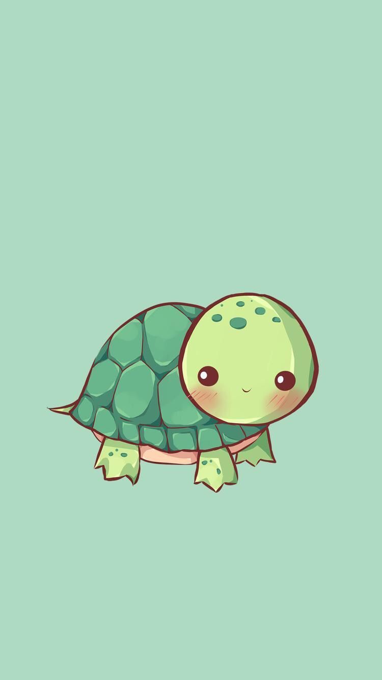 Turtle Iphone Wallpapers