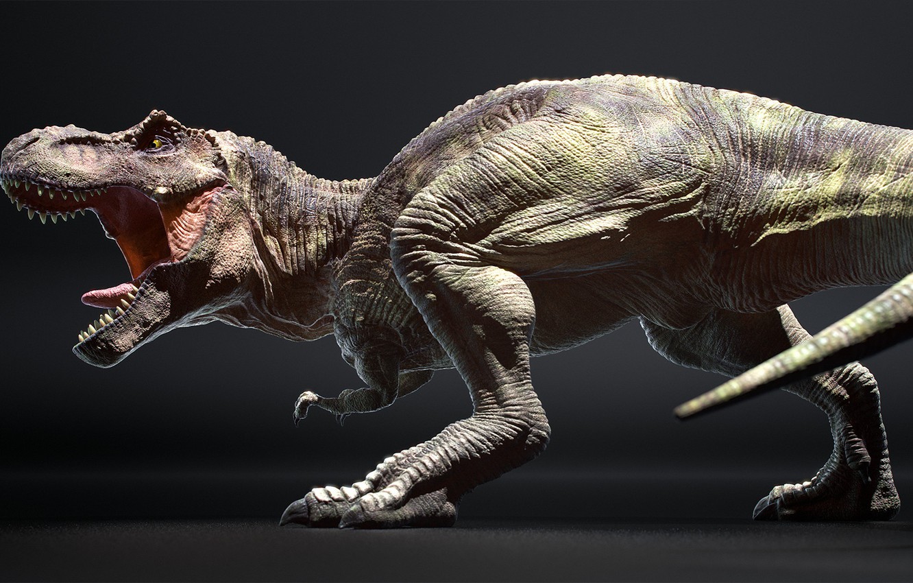 Tyrannosaurus Rex Wallpapers