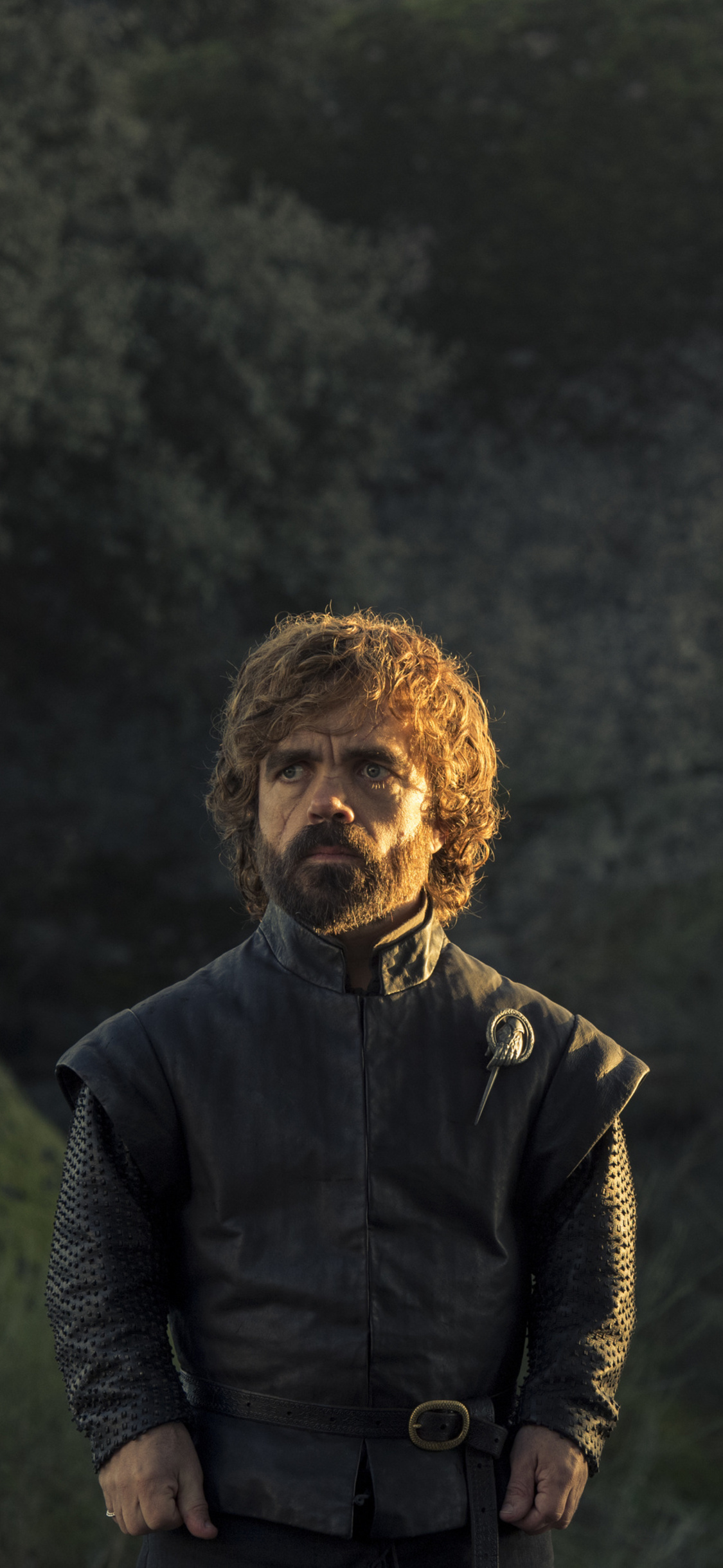 Tyrion Wallpapers