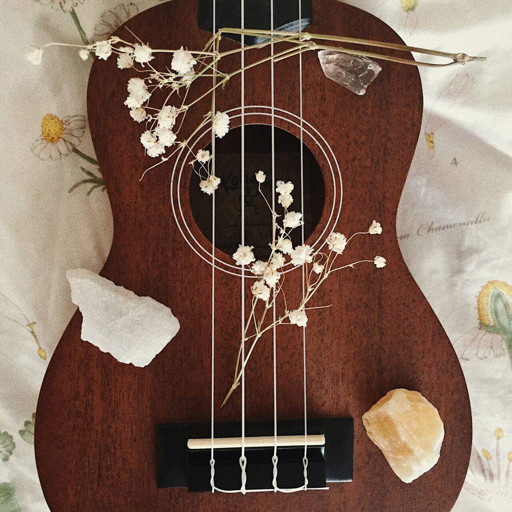 Ukulele Aesthetic Wallpapers