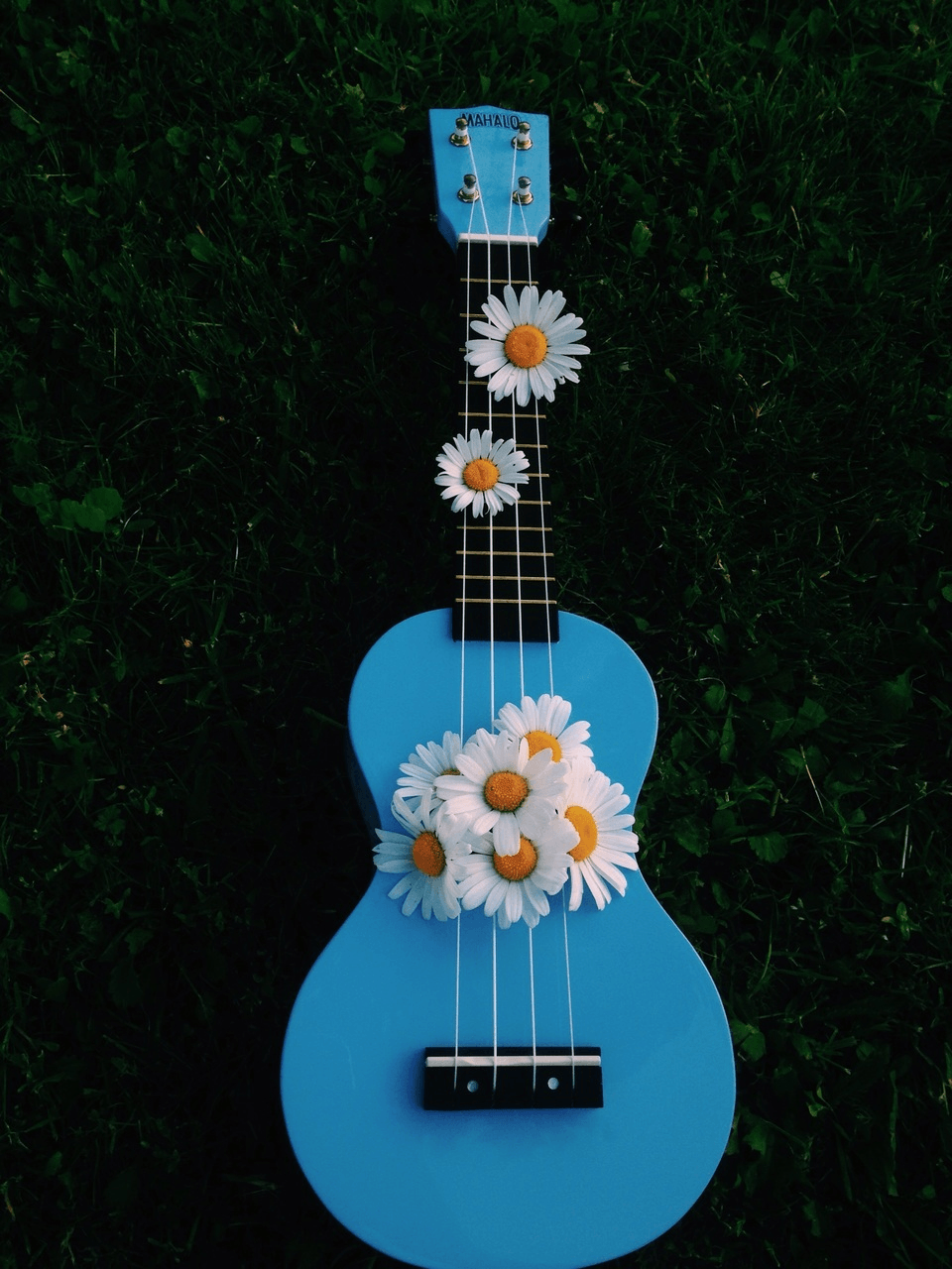 Ukulele Aesthetic Wallpapers