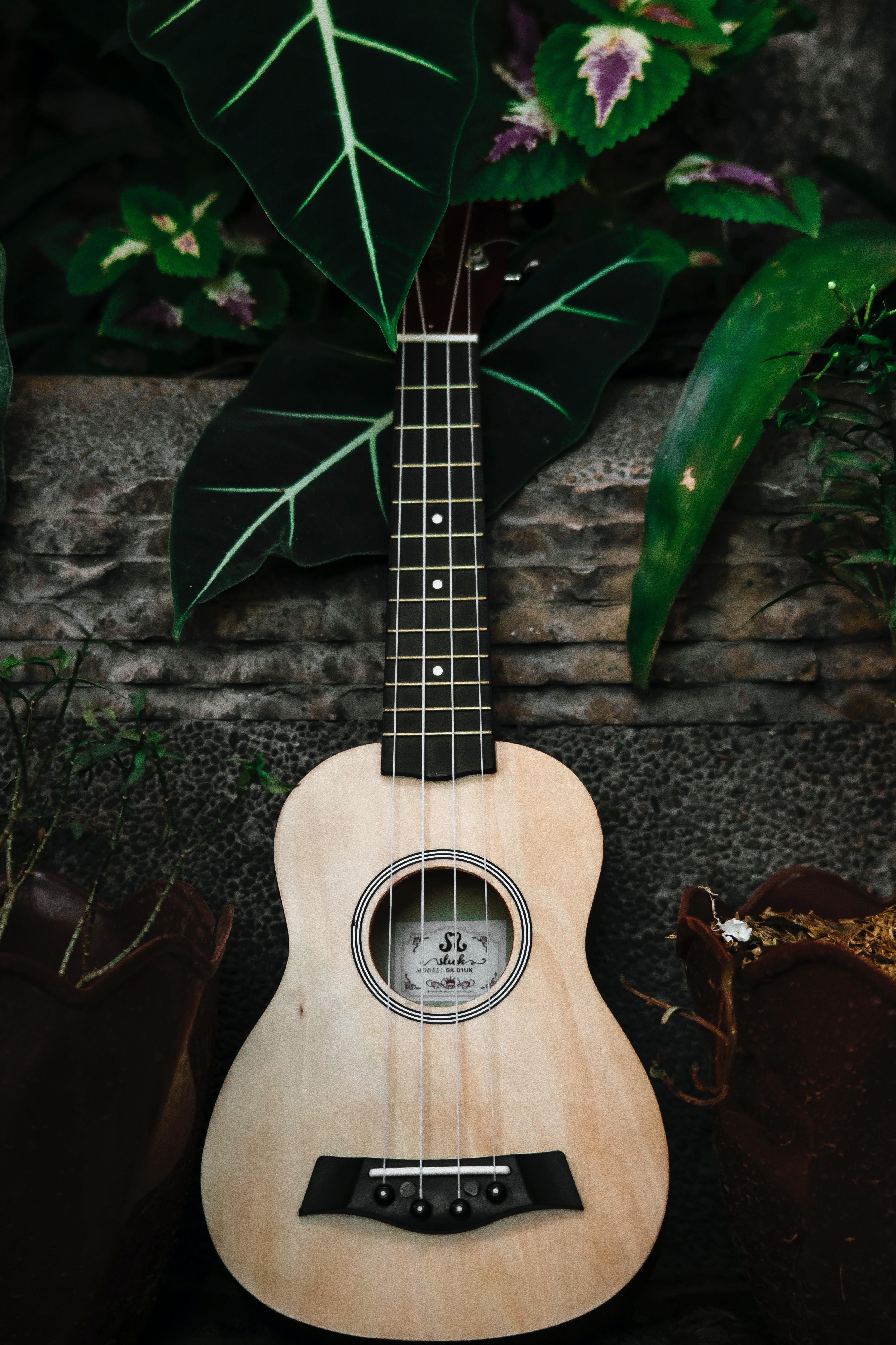 Ukulele Aesthetic Wallpapers