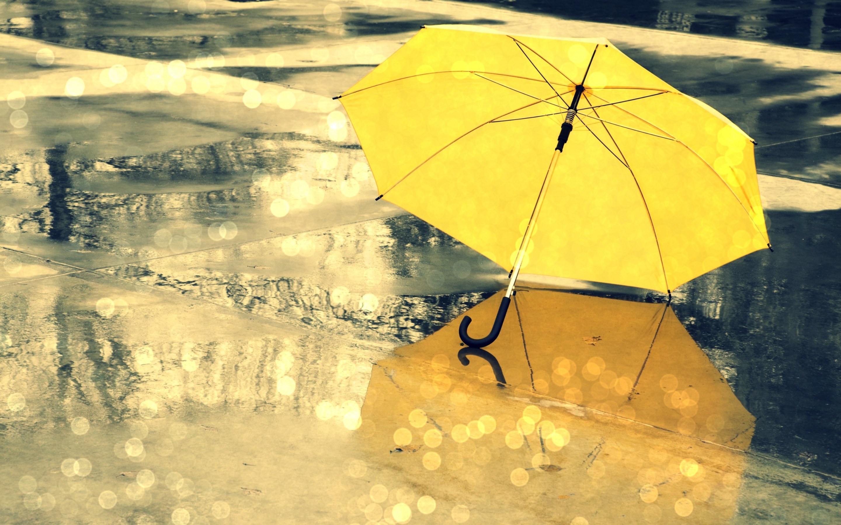 Umbrella Wallpapers