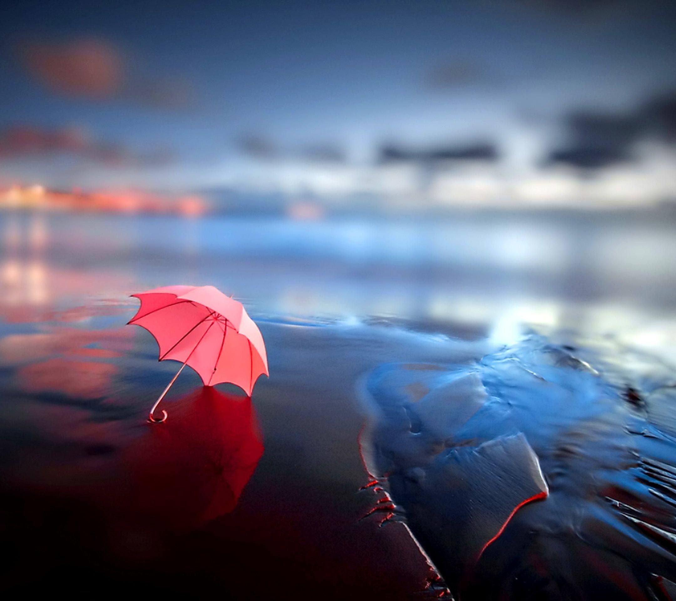 Umbrella Wallpapers