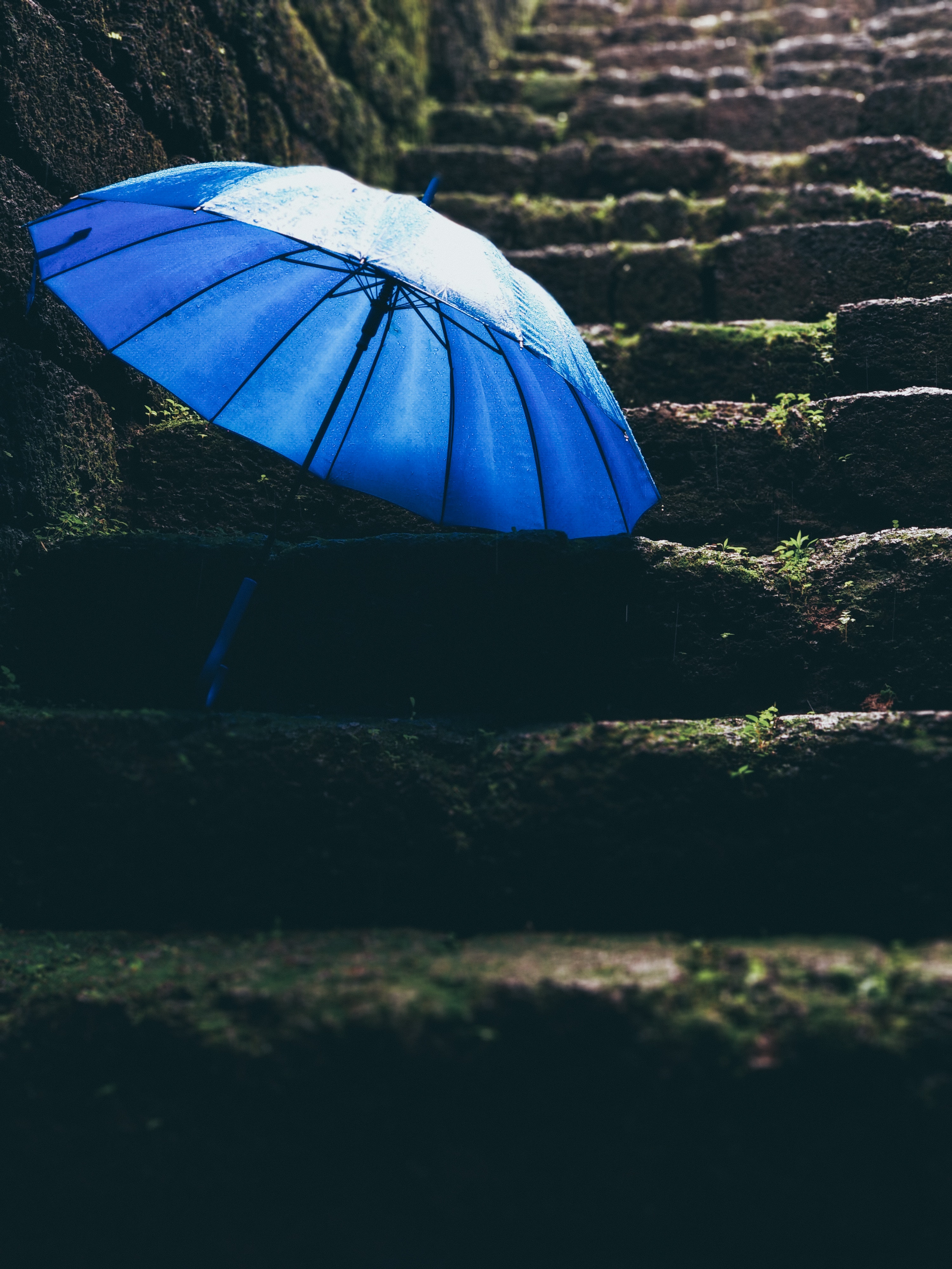 Umbrella Wallpapers